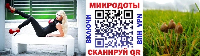 Галлюциногенные грибы мицелий  Шимановск 